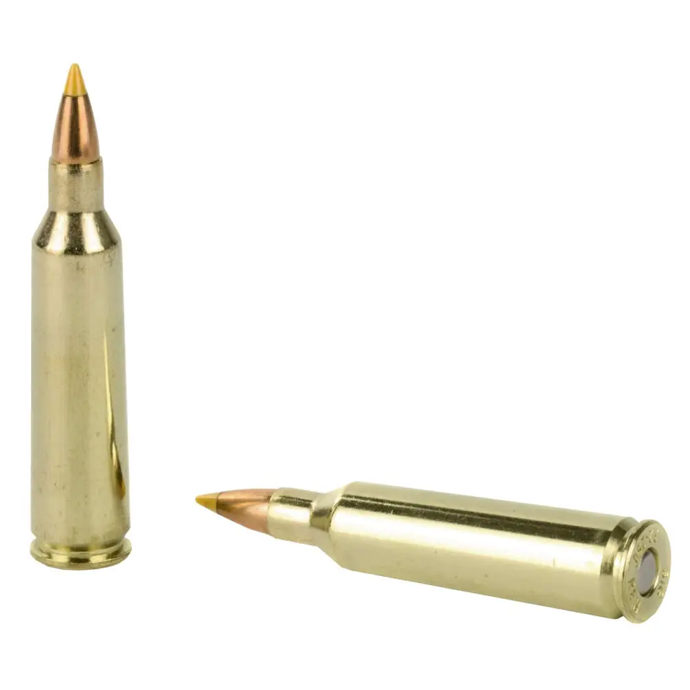 SIG 22-250 REM, 40GR,VARM/PRED 20 - Image 3