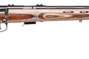 SAV 93R17-BRJ 17HMR BA FB B