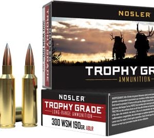 NOSLER TROPHY GRADE LR 300 WM - 190GR ABLR 20RD 10BX/CS