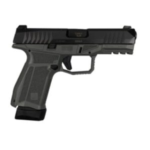 Delta M 9MM Gray 17RD