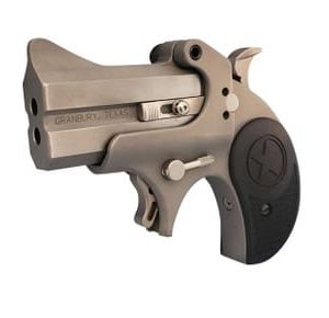 Bond Arms BARH-22LR Rawhide 22LR 2.5" 2 Rounds Matte Stainless