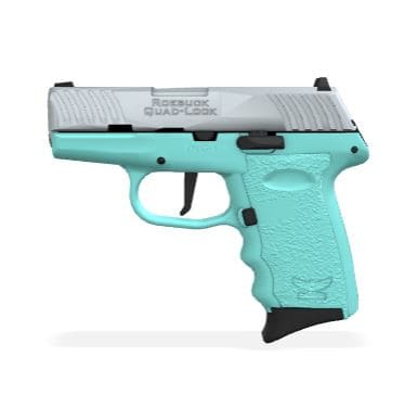 SCCY DVG-1TTSBRDR 9mm 10+1 3.1" Optics Ready Stainless/SCCY Blue