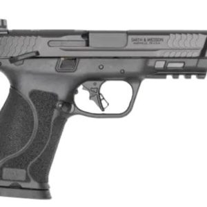 S&W M&P 10MM M2.0 4.6" FS - 10-SH ARMORNITE FINISH CAL APR