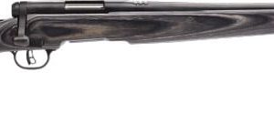 SAVAGE BMAG SPORTER 17WSM 22" - ACCU TRIG BLUED/GRAY LAMINATE