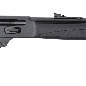 HENRY REPEATING ARMS H9 BEARS LEG 30-30 BL/SY PIST