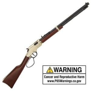 HEN H4 Golden Boy 22LR Lg-Lp