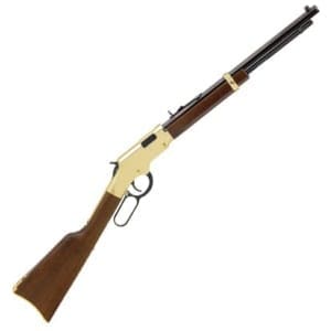 HEN H4 Golden Boy Youth 22LR