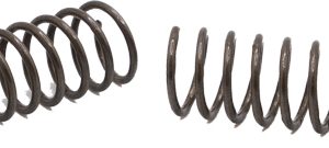 WLA AR10/AR15 FORWARD ASSIST - SPRING 10PK