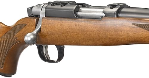 RUGER 77/22RH 22 HORNET - BLUED WALNUT W/RINGS THREADED - Image 2