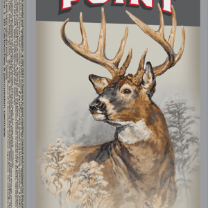 WINCHESTER SPR-X 375WIN 200GR PP