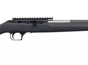 MAGNUM RESEARCH MAGNUM LT 22MAG STRAIGHT PULL