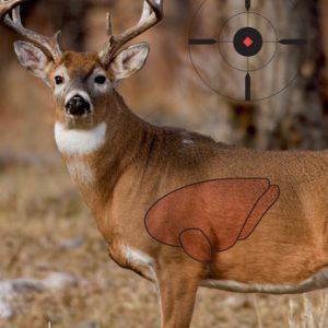 B/C TARGET PREGAME 16.5"X24" - WHITETAIL DEER TARGET 3-TARGTS