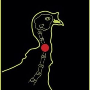 SPLATTER SHOT TARGET 12"X18" - TURKEY 8PK