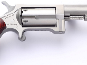 NORTH AMERICAN ARMS SIDEWINDER 22M/22LR 2.5" SS