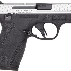 S&W BG2.0 380 12R 2TN TS NS DE