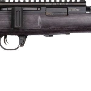 WAI HAM FRC B1 22LR GRY 10RD