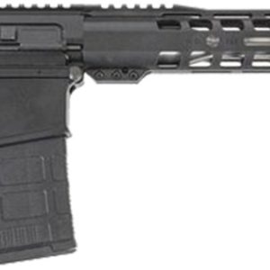 DPM AR10 RFL 308 20RD 20SS MOE