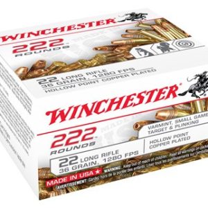 WINCHESTER 22LR 36GR LEAD-HP - 222RD 10BX/CS