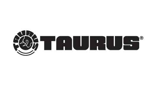 TAURUS JUDGE 410/45LC SS 3" SNAKE