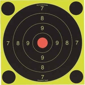 Birchwood Casey Shoot-N-C International Target