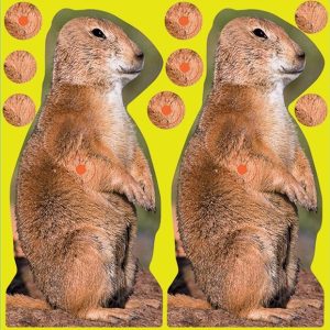 Birchwood Casey Shoot-N-C Prairie Chuck Target 8" 12/ct