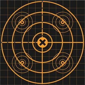 Birchwood Casey Big Burst Revealing Targets Sight-In 12" 3/ct
